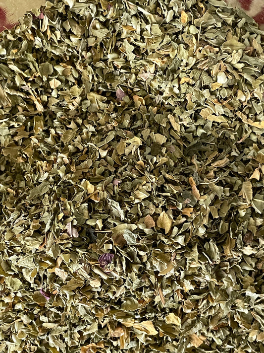 The Healing Power of Skullcap