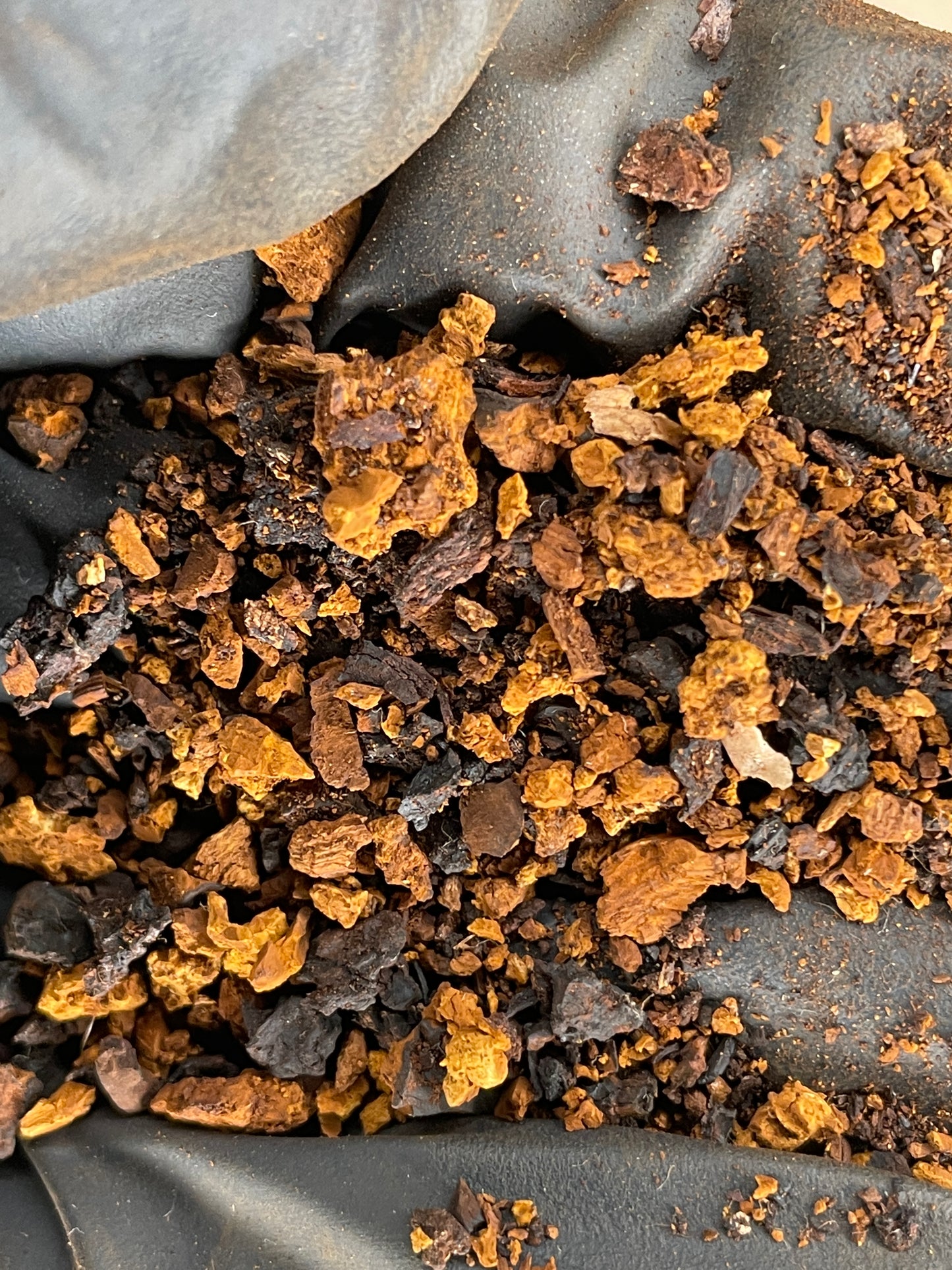 Raw Wild-Harvested Michigan Chaga Tea - 50 servings!