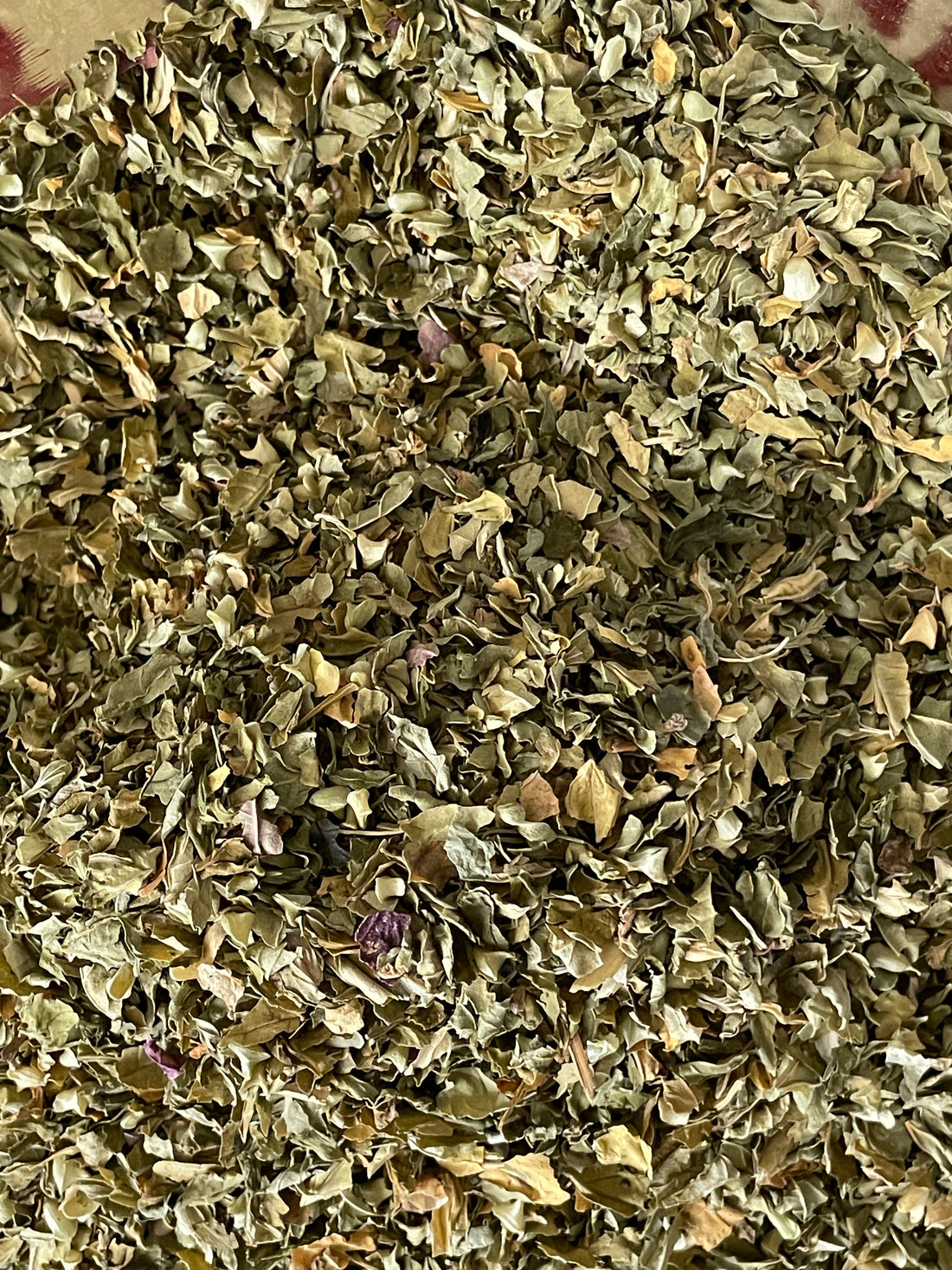 The Healing Power of Skullcap