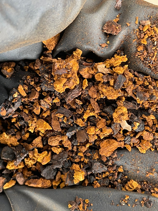 Raw Wild-Harvested Michigan Chaga Tea - 50 servings!